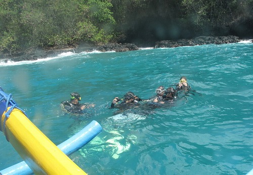 バリ島体験ダイビング