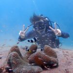 10年ぶりの体験ダイビング　バリ島ブルーパラダイス