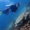 12年ぶりのダイビング　バリ島ブルーパラダイス