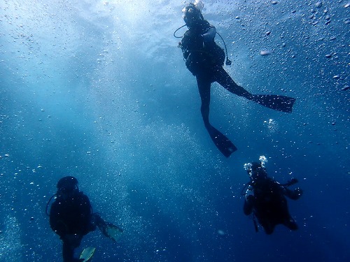 紳士たちとヌサペニダ・バリ島ブルーパラダイスダイビング