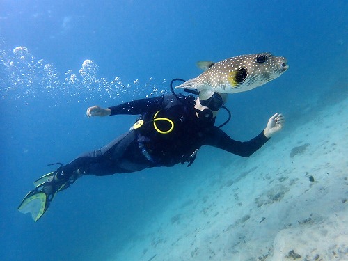 5年ぶりのダイビング・パダンバイ・バリ島ブルーパラダイスダイビング