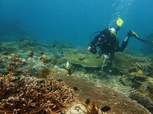 マンツーマンでパダンバイ日帰り3ダイブ・バリ島ブルーパラダイスダイビング