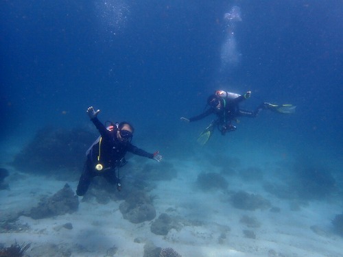 ボロカサゴ！パダンバイ日帰り3ダイブ・バリ島ブルーパラダイスダイビング