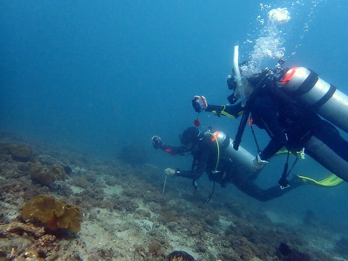 リピーター様たちとじっくり水中写真ダイブ・バリ島ブルーパラダイスダイビング