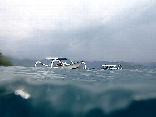 今年初の調査ダイブ・パダンバイ・バリ島ブルーパラダイスダイビング