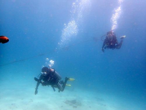 最終日は近場希望でパダンバイ・バリ島ブルーパラダイスダイビング